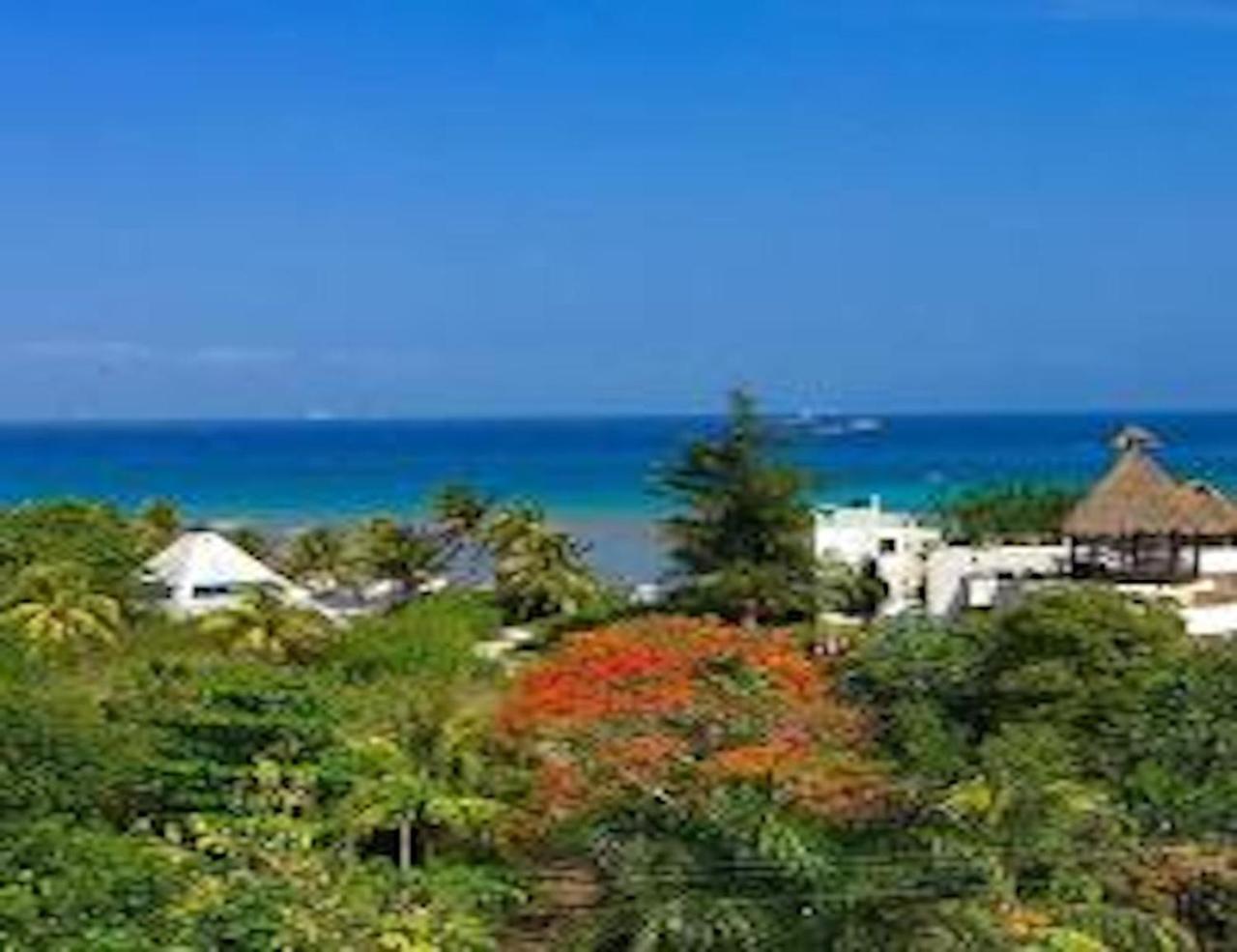 Acanto Hotel Playa Del Carmen, Trademark Collection By Wyndham Luaran gambar